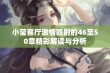 小莹客厅激情四射的46至50章精彩解读与分析