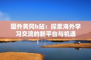 国外黄冈b站：探索海外学习交流的新平台与机遇