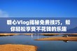 糖心Vlog揭秘免费技巧，帮你轻松享受不花钱的乐趣