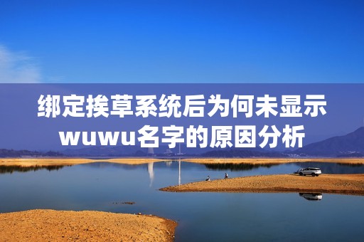 绑定挨草系统后为何未显示wuwu名字的原因分析