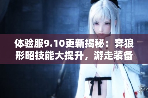 体验服9.10更新揭秘：奔狼形昭技能大提升，游走装备全新改版