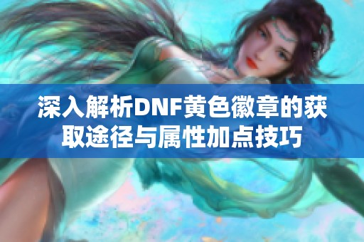 深入解析DNF黄色徽章的获取途径与属性加点技巧