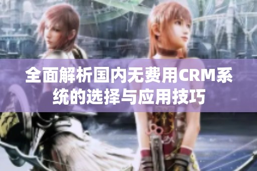 全面解析国内无费用CRM系统的选择与应用技巧