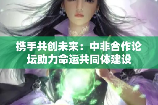 携手共创未来：中非合作论坛助力命运共同体建设