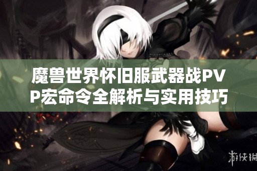 魔兽世界怀旧服武器战PVP宏命令全解析与实用技巧分享