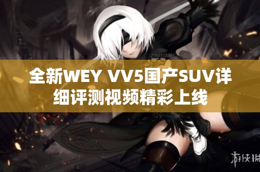 全新WEY VV5国产SUV详细评测视频精彩上线