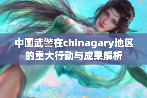 中国武警在chinagary地区的重大行动与成果解析