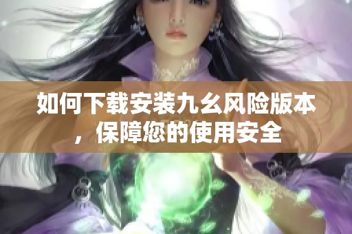 如何下载安装九幺风险版本，保障您的使用安全