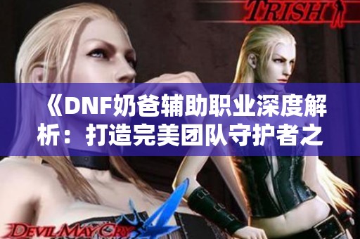 《DNF奶爸辅助职业深度解析：打造完美团队守护者之路》