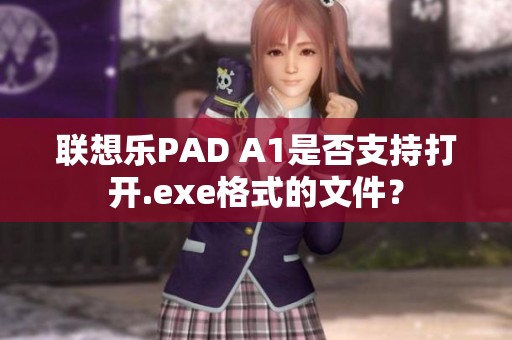 联想乐PAD A1是否支持打开.exe格式的文件？