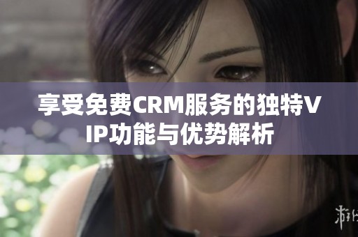 享受免费CRM服务的独特VIP功能与优势解析