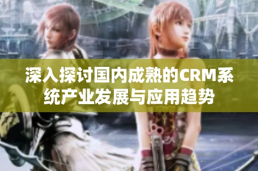 深入探讨国内成熟的CRM系统产业发展与应用趋势