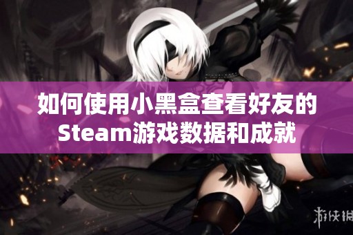 如何使用小黑盒查看好友的Steam游戏数据和成就