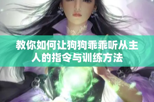 教你如何让狗狗乖乖听从主人的指令与训练方法