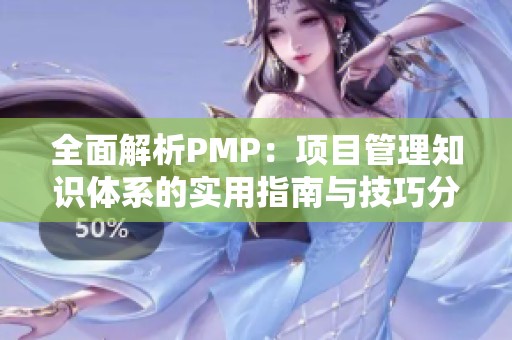 全面解析PMP：项目管理知识体系的实用指南与技巧分享