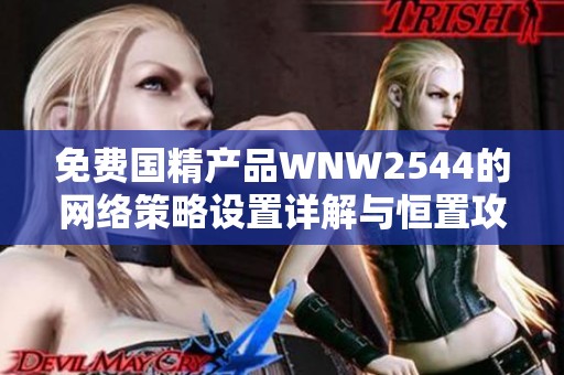 免费国精产品WNW2544的网络策略设置详解与恒置攻略分享