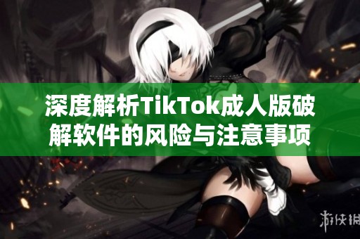 深度解析TikTok成人版破解软件的风险与注意事项