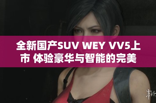 全新国产SUV WEY VV5上市 体验豪华与智能的完美结合