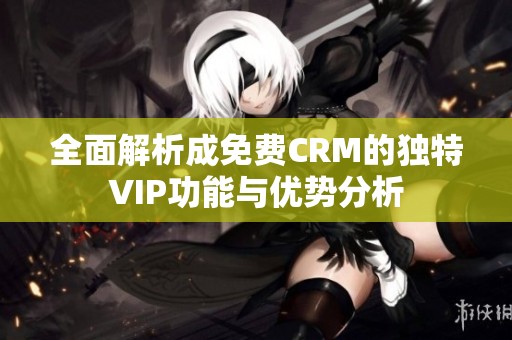 全面解析成免费CRM的独特VIP功能与优势分析