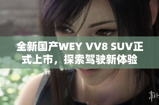 全新国产WEY VV8 SUV正式上市，探索驾驶新体验