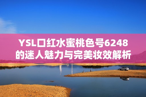 YSL口红水蜜桃色号6248的迷人魅力与完美妆效解析