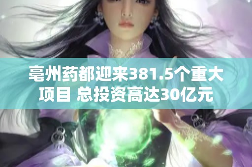 亳州药都迎来381.5个重大项目 总投资高达30亿元