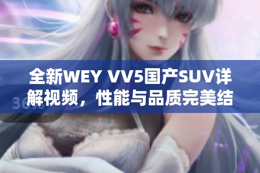 全新WEY VV5国产SUV详解视频，性能与品质完美结合