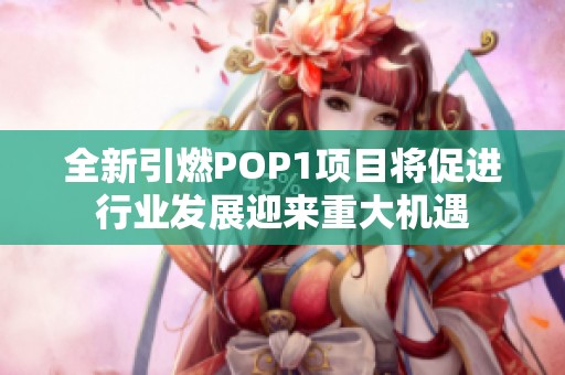 全新引燃POP1项目将促进行业发展迎来重大机遇