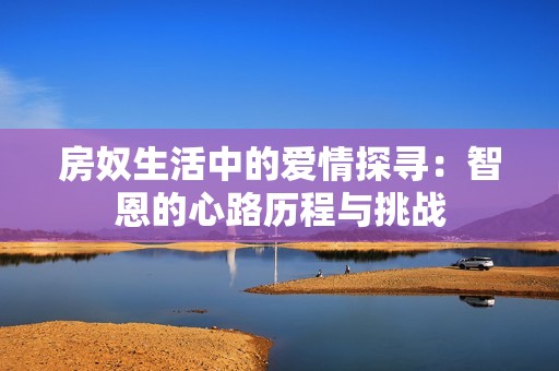 房奴生活中的爱情探寻：智恩的心路历程与挑战