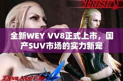 全新WEY VV8正式上市，国产SUV市场的实力新宠