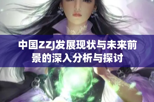 中国ZZJ发展现状与未来前景的深入分析与探讨