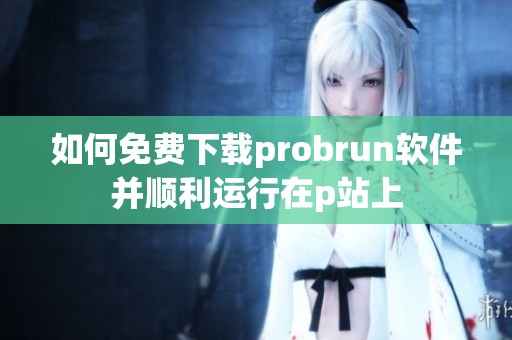 如何免费下载probrun软件并顺利运行在p站上