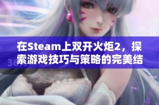 在Steam上双开火炬2，探索游戏技巧与策略的完美结合