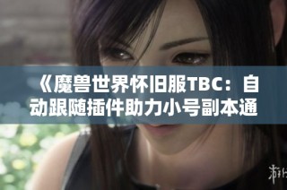 《魔兽世界怀旧服TBC：自动跟随插件助力小号副本通行》