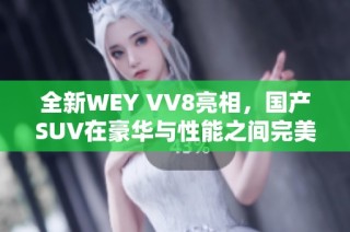 全新WEY VV8亮相，国产SUV在豪华与性能之间完美平衡