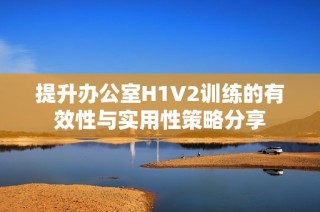 提升办公室H1V2训练的有效性与实用性策略分享