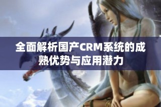 全面解析国产CRM系统的成熟优势与应用潜力