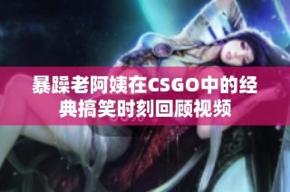 暴躁老阿姨在CSGO中的经典搞笑时刻回顾视频