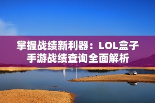 掌握战绩新利器：LOL盒子手游战绩查询全面解析