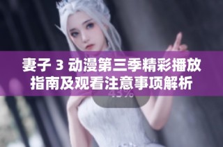 妻子 3 动漫第三季精彩播放指南及观看注意事项解析