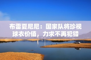 布雷夏尼尼：国家队将珍视球衣价值，力求不再犯错