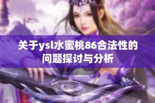 关于ysl水蜜桃86合法性的问题探讨与分析