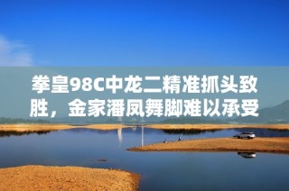 拳皇98C中龙二精准抓头致胜，金家潘凤舞脚难以承受