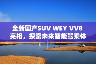 全新国产SUV WEY VV8 亮相，探索未来智能驾乘体验