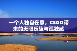 一个人独自在家，CSGO带来的无限乐趣与孤独感