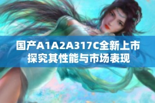 国产A1A2A317C全新上市 探究其性能与市场表现