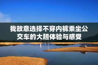 我故意选择不穿内裤乘坐公交车的大胆体验与感受