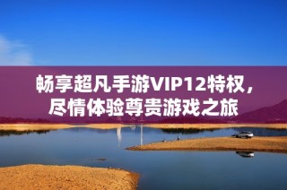 畅享超凡手游VIP12特权，尽情体验尊贵游戏之旅