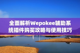 全面解析Wepokee辅助系统插件购买攻略与使用技巧