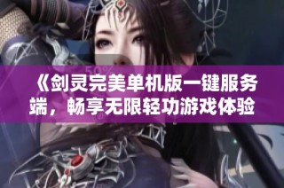 《剑灵完美单机版一键服务端，畅享无限轻功游戏体验》